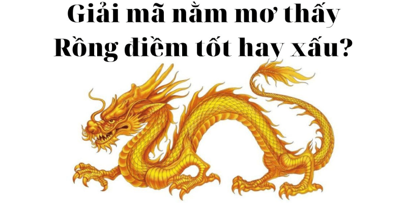 Mơ thấy rồng điềm lành hay dữ? Tìm số may mắn đánh lô đề Giải mã giấc mơ thấy rồng tìm số may mắn đánh lô đề dễ thắng lớn